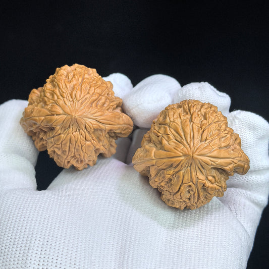 Triangle "Blizzard Turtle-Back" (Bao Xue Sanjiao Gui Bei) Scholar Walnuts Pair | 42.0mm x 39.0mm | Classic Low-Profile Silhouette | Collector Grade Masterpiece | Stock ID: BX-SY1E9