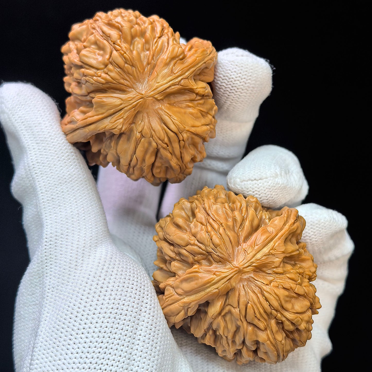 "Hua Kun Dragon" Huakunlong HKL-17E3 Low-Profile Wenwan Walnuts Pair | 47.0mm x 49.0mm | HKL-17E3