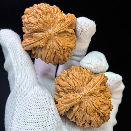 "Hua Kun Dragon" Huakunlong HKL-17E3 Low-Profile Wenwan Walnuts Pair | 47.0mm x 49.0mm | HKL-17E3