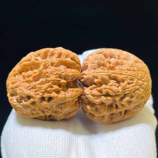 "Blizzard" Baixue Wenwan Walnuts Standard Pair | 41.0mm x 44.0mm | BX-1107