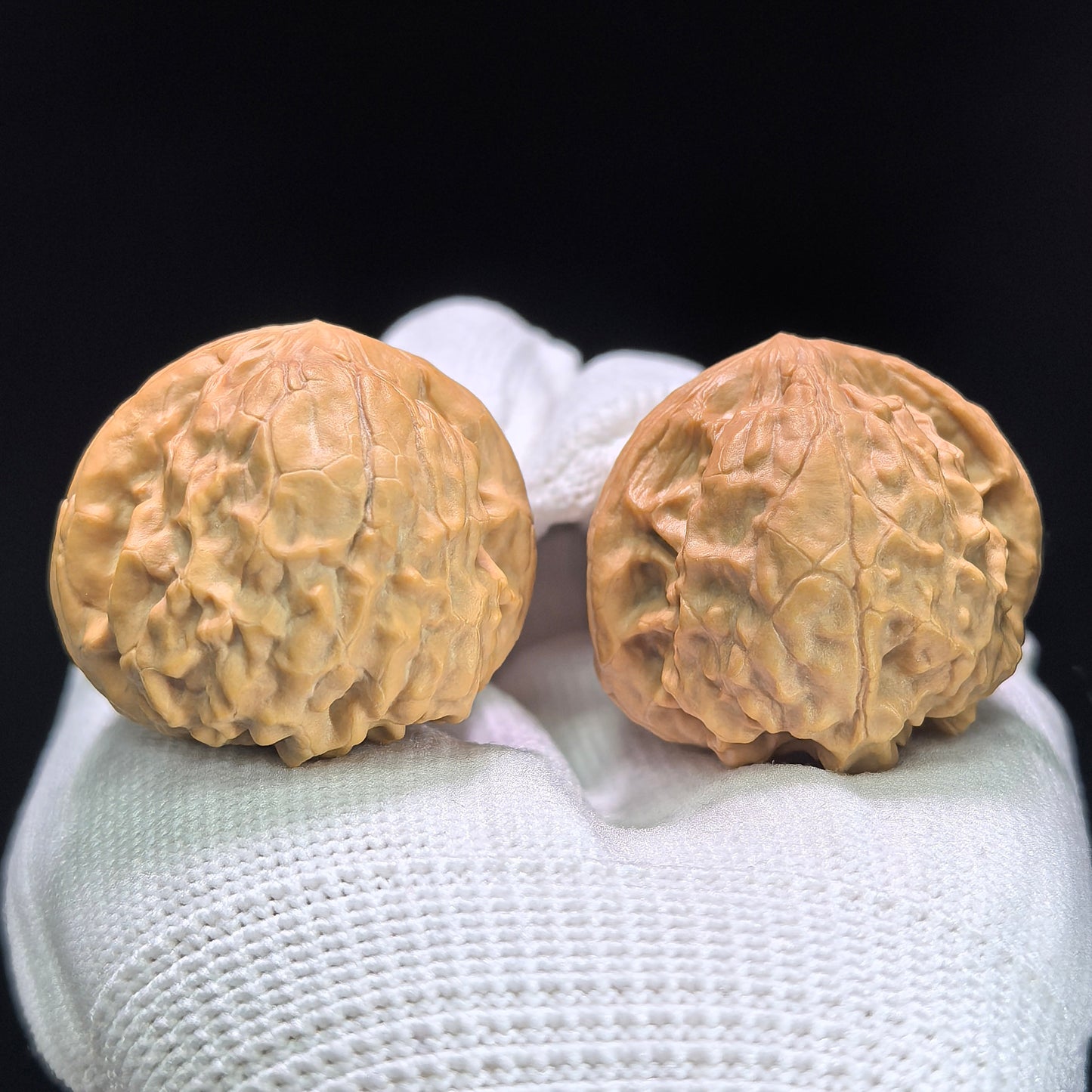 "Golden Toad Vessel" Jinchanzun Wenwan Walnuts Pair | 35.0mm x 38.0mm | JCZ-1401