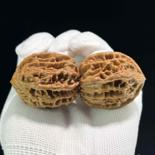 The Petit "Coiling Dragon" (Pan Long Wen) Full-Bellied Pair | 34.0mm x 36.0mm | PLW-707