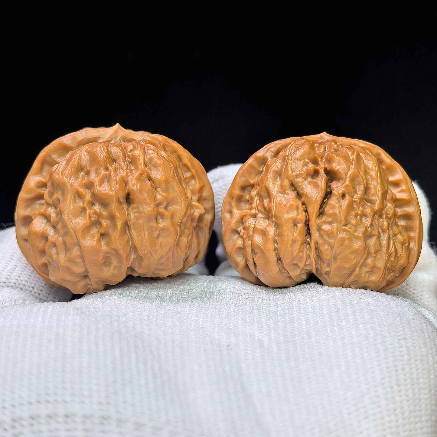 "Toad Head" Hamatou HMT-17H9 Low-Profile Wenwan Walnuts Pair | 40.0mm x 40.0mm | HMT-17H9