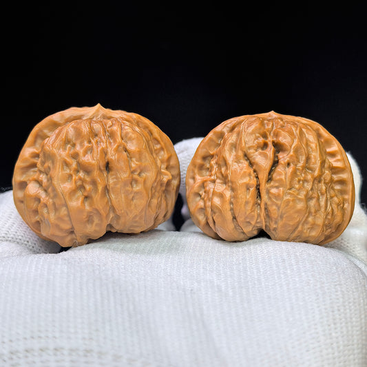 "Toad Head" Hamatou HMT-17H9 Low-Profile Wenwan Walnuts Pair | 40.0mm x 40.0mm | HMT-17H9