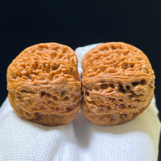 White Lion Head (Bai Shi Zi) Scholar Walnuts Pair | 40.0mm x 40.0mm | Stock ID: BSZ-1102