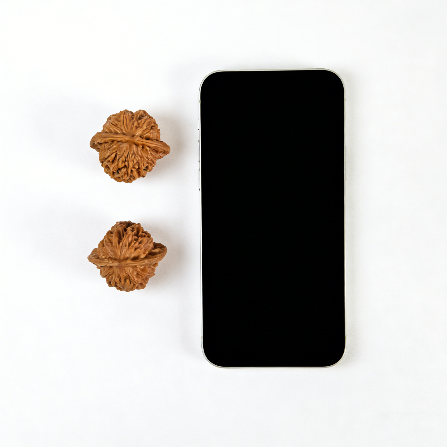 The "Porcelain Doll" (Ci Wa Wa) – Refined Elegance & Waxy Luster | 38mm Collector’s Pair