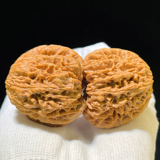 The Spectacular "Blizzard" Baixue Collector Pair | 40.0mm x 38.0mm | BX-1105