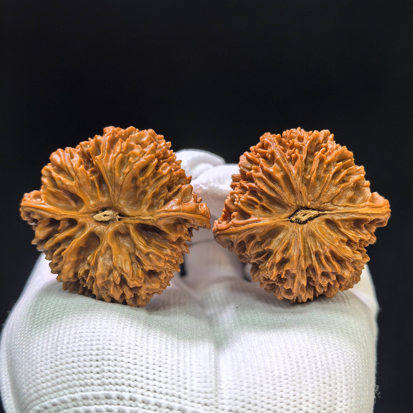 "Concave Base Starry Sky" Aodi Mantianxing Wenwan Walnuts (Pair) | 42.0mm x 41.0mm | Stock ID: ADMTX-1108