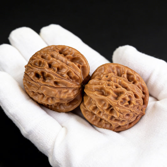 The "Dragon Gall" (Long Dan) Pair | 35.0mm x 34.0mm | LD-001