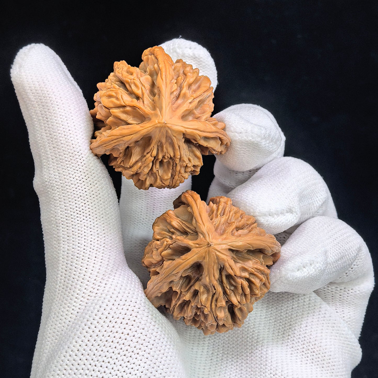 "Three-Ribbed Reaching Heaven Eight" Tongtianba Sanling TTBSN-SY1H3 Rare Wenwan Walnuts Pair | 35.0mm x 36.0mm | TTBSN-SY1H3