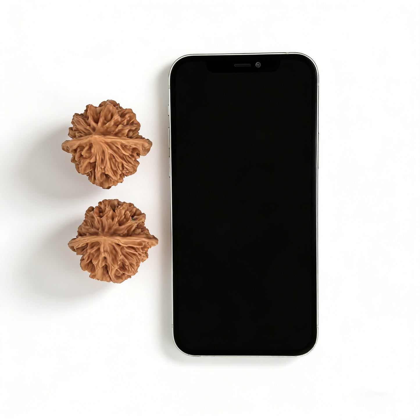 The "Emperor" (Zhonghua Dahua) Pair | 41.0mm | DWZHDH-02