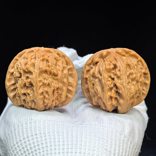 "Spherical White Lion" Qiu Xing Baishizi QXBSJ-1503C Low-Profile Wenwan Walnuts Pair | 41.0mm x 44.0mm | QXBSJ-1503C