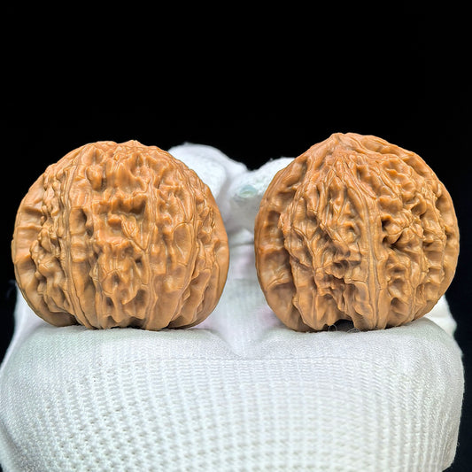 "Triangular Spherical White Lion" Sanjiao Qiuxing Baishizi Low-Profile Wenwan Walnuts Pair | 40.0mm x 40.0mm | BSJ-1502C