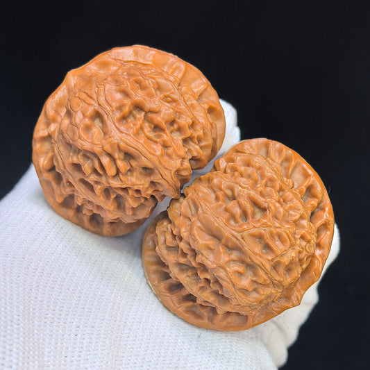 "Palastlaterne Intarsie" Gongdeng Xiangqian Wenwan Walnusspaar | 43,0 mm x 39,0 mm | GDXQ-101SY