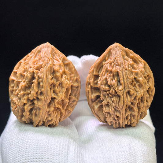 "Beijing Chicken Heart" (Beijing Jixin) Scholar Walnuts Pair | Perfect 38.0mm x 38.0mm Isometric Profile | Heritage Wild-Type Collectible | Stock ID: BJJX-1101