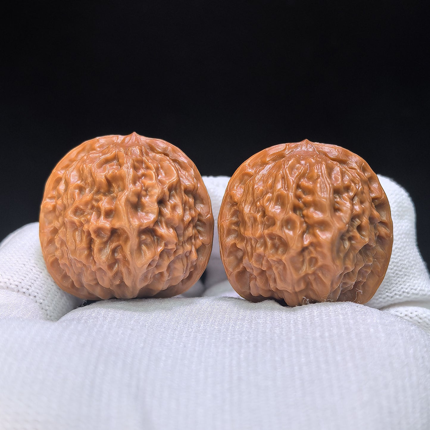 "Pocket Porcelain Doll" Miniature Ciwawa Wenwan Walnuts (Pair) | 34.0mm x 35.0mm | Stock ID: CWW-1506C