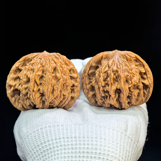 "Liger" Shihushou Low-Profile Wenwan Walnuts Pair | 49.0mm x 45.0mm | SFS-1501C