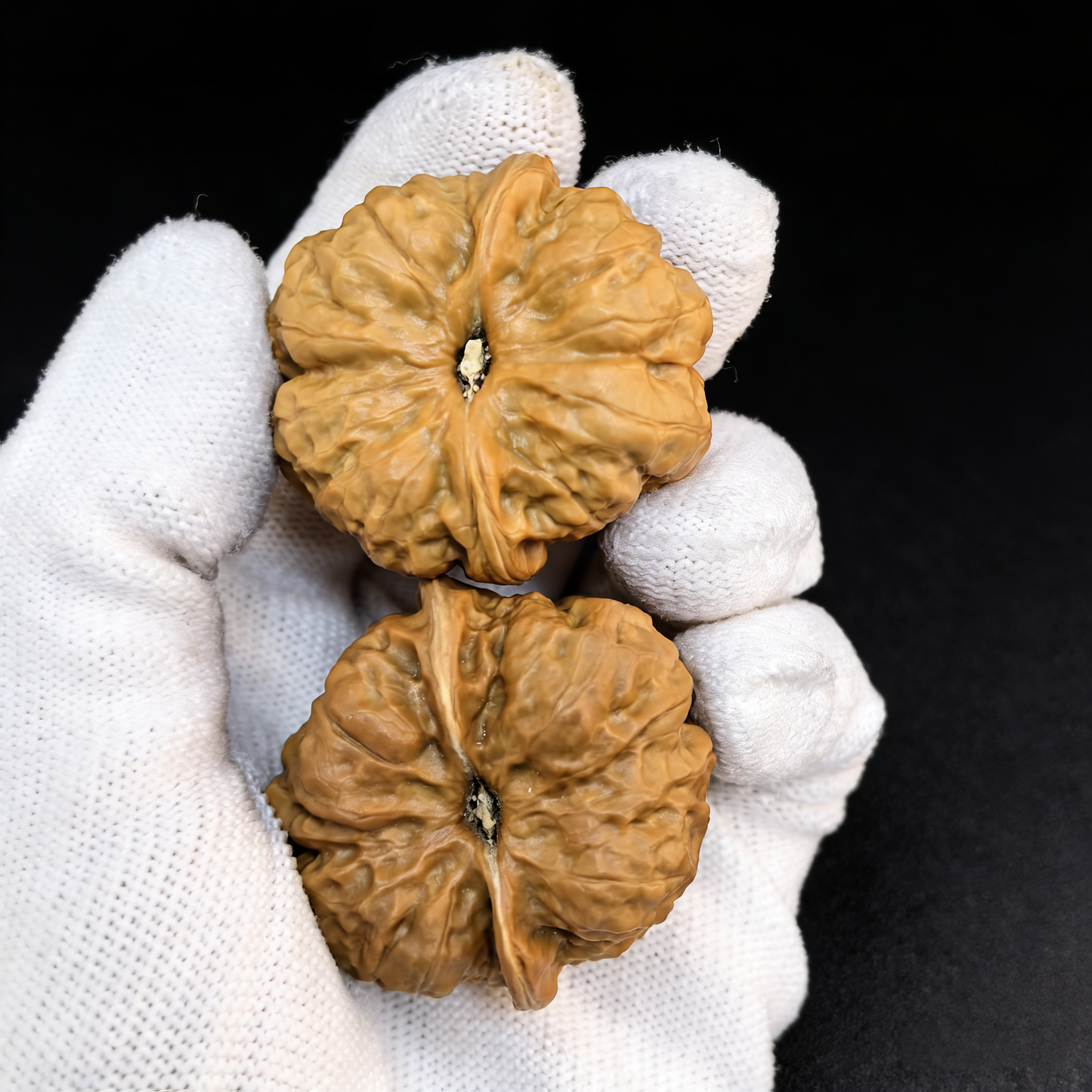 The "Golden Toad" (Ha Ma Tou) – 39mm Wealth Guardian Pair | #HM-71 (Actual Item Pictured)