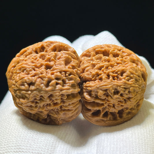 Nanjiangshi Scholar Walnuts Pair | 37.0mm x 34.0mm | Stock ID: NJS-1102