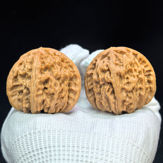 "Peach-Heart White Lion" Taoxin Baishizi Low-Profile Wenwan Walnuts Pair | 40.0mm x 42.0mm | BSJ-1503C
