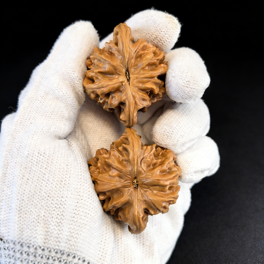 The "Mist Cloud Ridge" (Xia Yun Ling) – 41mm Heritage Lion Head Pair | #XYL-34 (Actual Item Pictured)