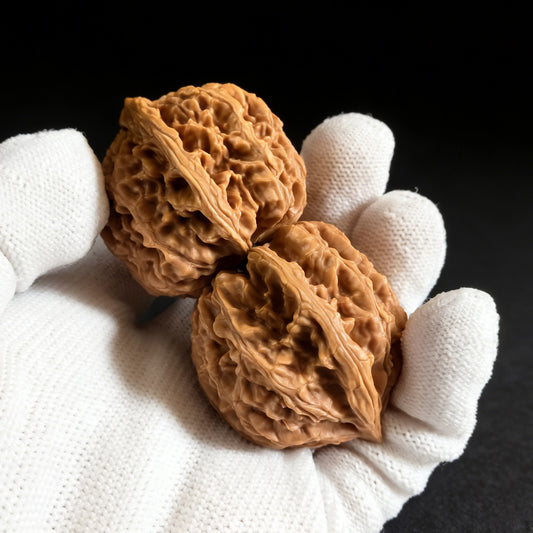 The "Jade Dragon" (Yulong) Pair | 38.0mm | WH-01