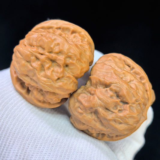 "Toad Head" Hamatou Classic Heritage Low-Profile Wenwan Walnuts Pair | 38.0mm x 38.0mm | HMT-1501C
