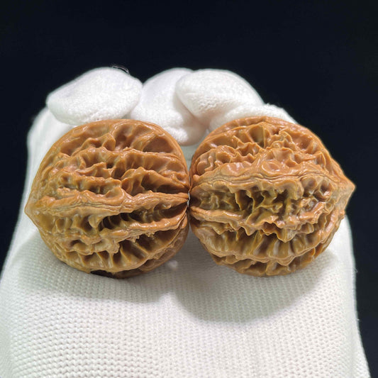 The "Coiling Dragon" (Pan Long Wen) Full-Bellied Pair | 37.0mm x 39.0mm | PLW-703
