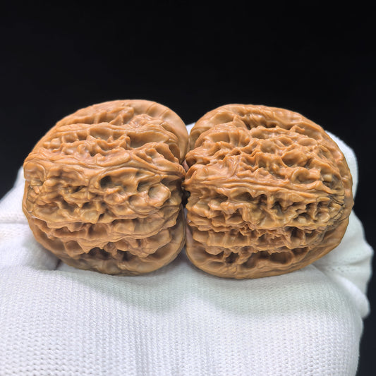 "Nanjiang Stone Red Shell" Nanjiangshi Hongke Wenwan Walnüsse Paar | 41.0mm x 43.0mm | NJS-1511C