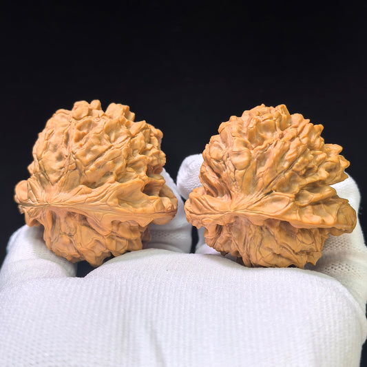 The "Dragon Vessel Alligator Snapping Tortoise" (Long Ding E Gui) Museum-Grade Giant Pair | 49.0mm x 49.0mm | 1:1 Match Standard | LDWG-401E