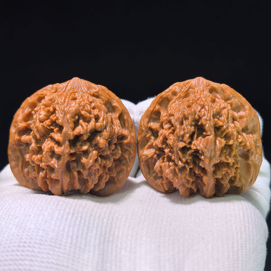 The Spectacular "Heart Center" Concave-Base Mantianxing Masterpiece | 43.0mm x 38.0mm | MTX-1201C