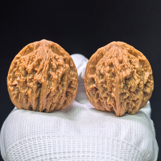 "Wheat Ear Tiger Head" Maisui Hutou MSHT-1404 Classic Wenwan Walnuts Pair | 40.0mm x 38.0mm | MSHT-1404
