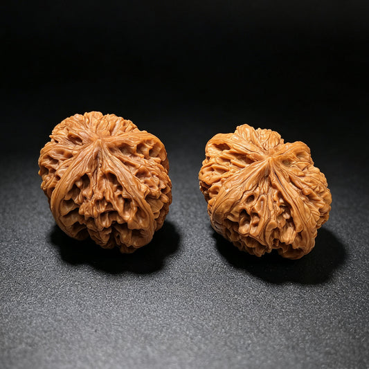Four-Ribbed "Nine Dragons Sinew" (Jiulongjin Sileng) Scholar Walnuts Pair | 43.0mm x 52.0mm | Massive Deep-Belly Geometry | Collector Grade Masterpiece | Stock ID: JLJ4N-1001E