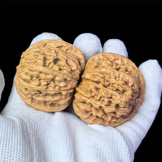 The "Si Zuo Lou" Lion Head Pair | 43.0mm x 39.0mm | SZL-1003