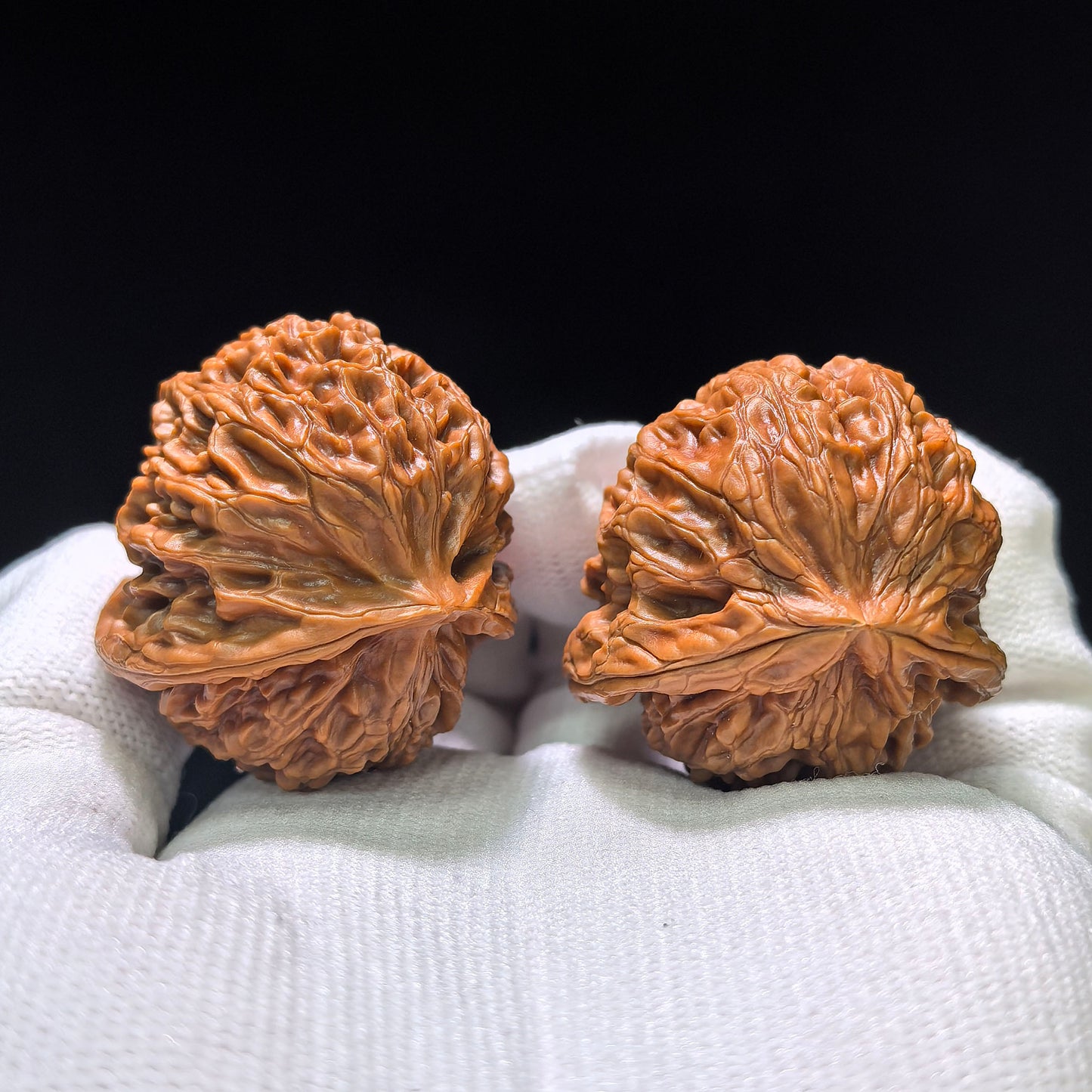 The Royal "Palace Lantern Turtle Shell" Gongdeng Wuguibei Pocket Masterpiece | 34.0mm x 37.0mm | GDWGB-401E