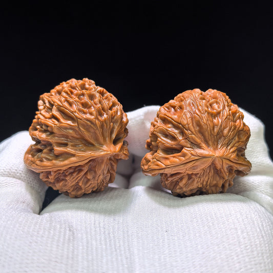 The Royal "Palace Lantern Turtle Shell" Gongdeng Wuguibei Pocket Masterpiece | 34.0mm x 37.0mm | GDWGB-401E
