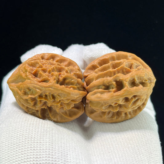 "Cao Dalong" Wenwan Walnuts (CDLTCJ-1001) - 35mm x 37mm "Heavenly Deviant" Wild Mountain Collection, High-Density Collector Specimen, Zen Stress Relief