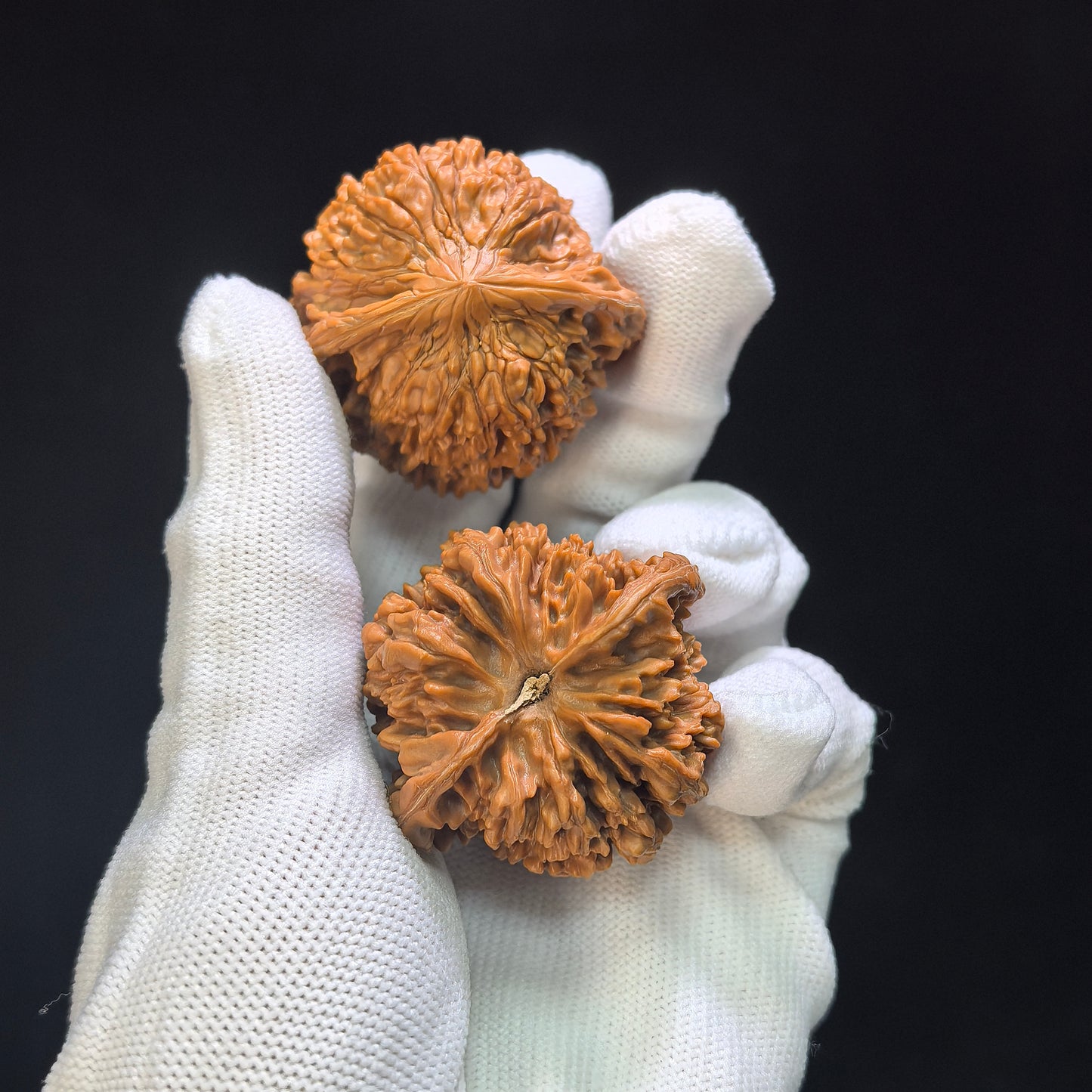 "Starry Sky" Mantianxing Wenwan Walnuts (Pair) | 43.0mm x 40.0mm | Stock ID: MTX-1003