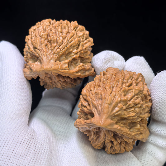 The Serene "Kylin-Texture Seated Buddha" Qilinwen Zuofo Premium Selection | 42.0mm x 40.0mm | QLWZF-402E
