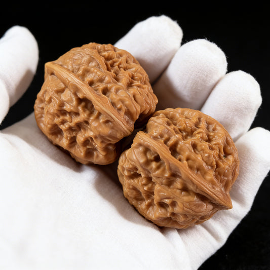 The "Gecko Luohan Head" (Bihu Luohan Tou) Pair | 35.0mm | BHLHT-01