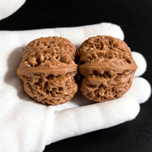 The "Nan Jiang Shi" Lion Head Pair | 41.0mm x 39.0mm | NJS-502