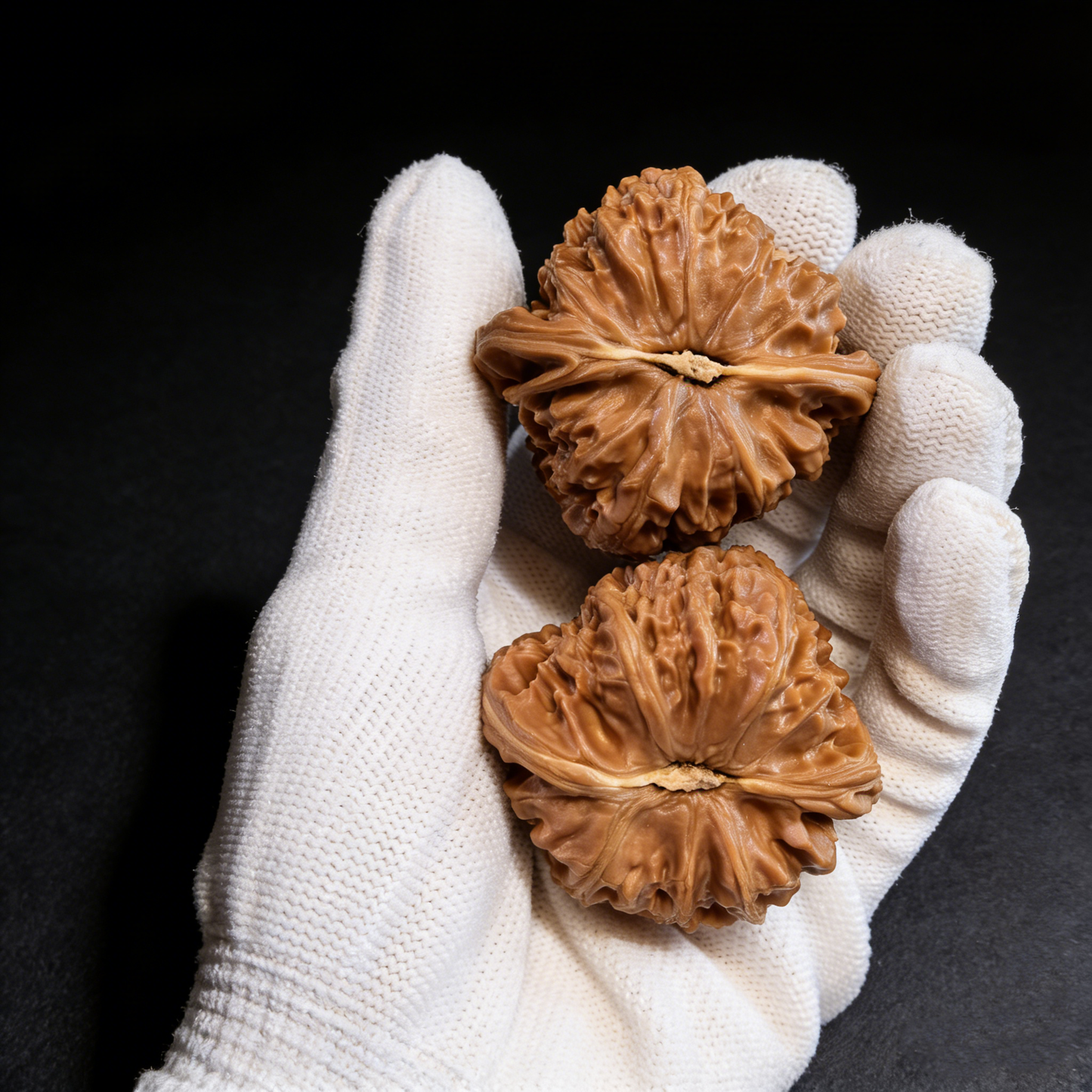 The "Grand White Lion" – Massive 46mm Collector's Pair | #LION-001 (Actual Item Pictured)