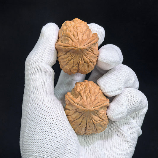 "Tortoise-Shell Half-Wall Turtle-Back" (Gui Jia Wen Ban Bi Gui Bei) Scholar Walnuts Pair | Same-Fruit Biological Twin Pair | 30.0mm x 36.0mm | Collector Grade E | Stock ID: GJWGB-SY1B3