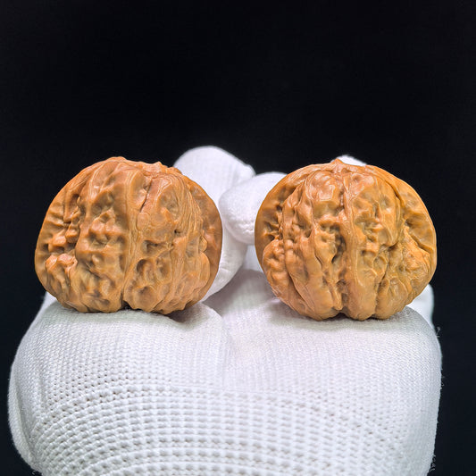 "Crystal Frog" Shuijingwa Low-Profile Wenwan Walnuts Pair | 36.0mm x 36.0mm | W-1402