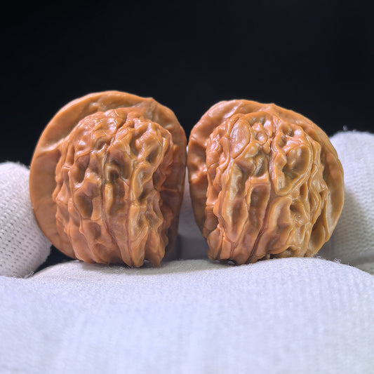 The Rare "Xinglong Dice" Half-Wall (Ban Bi) Ergonomic Pair | 29.0mm x 38.0mm | XLBB-1201E