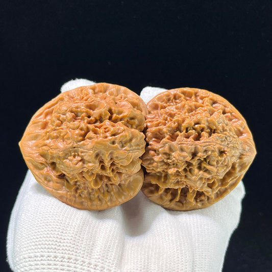 The "Grand Official's Hat" (Da Guan Mao) Collector-Scale Broad Edge Pair | 49.0mm x 39.0mm | DGM-903