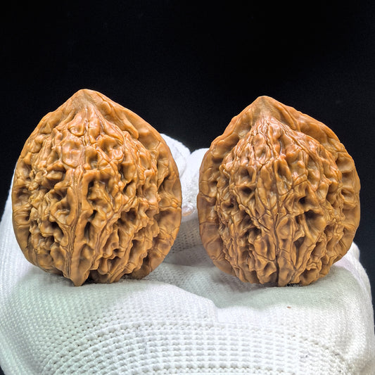 "Water Dragon Grain" Shuilongwen SLW-1601 Classic Wenwan Walnuts Pair | 37.0mm x 38.0mm | SLW-1601