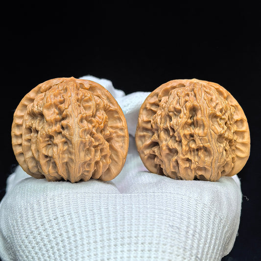 "Spherical White Lionhead" Qiuxing Baishizi QXBSJ-1505C Low-Profile Wenwan Walnuts Pair | 41.0mm x 40.0mm | QXBSJ-1505C