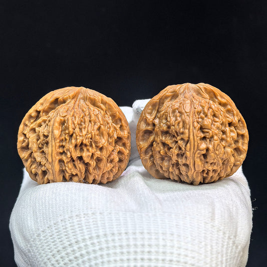 "Nanjiang Stone" Nanjiangshi Classic Heritage Wenwan Walnuts Pair | 43.0mm x 42.0mm | NJS-1504C