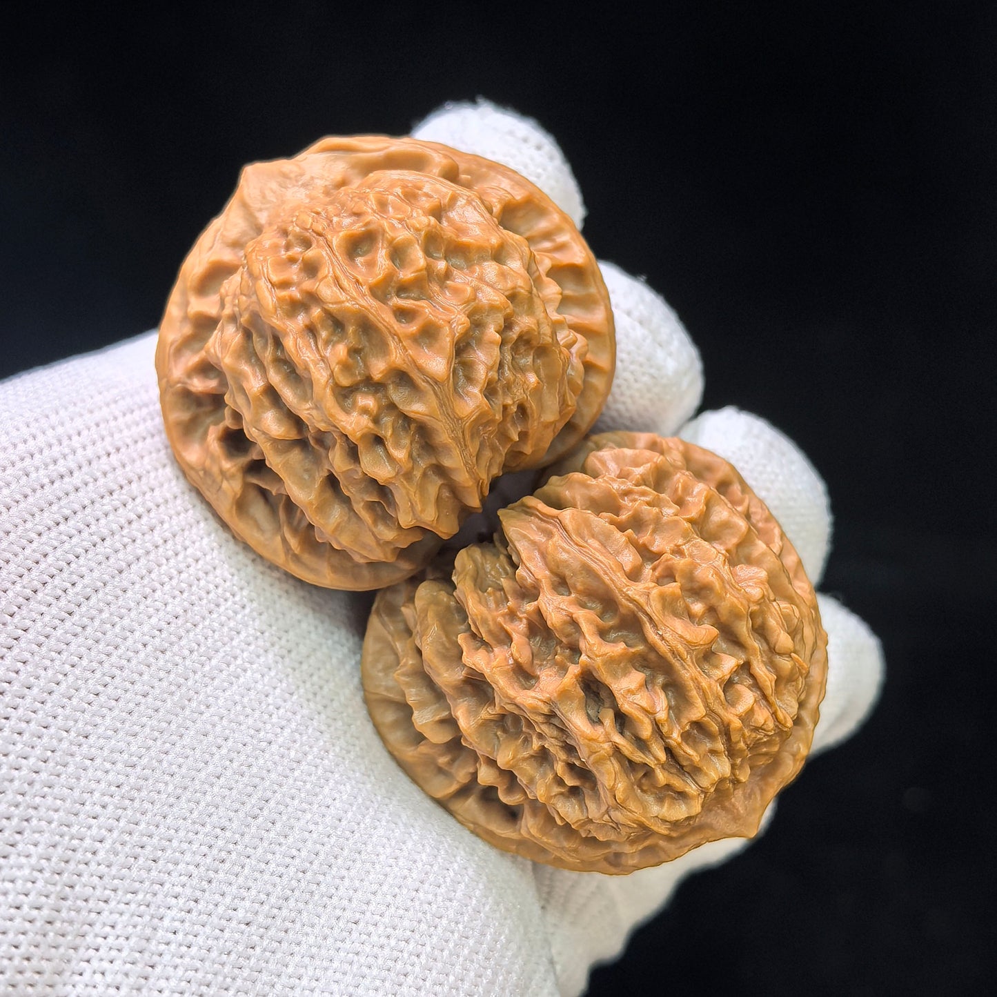 "Crescent Moon Lionhead" (Xuan Yue Shi Tou) Scholar Walnuts Pair | 39.0mm x 34.0mm | Low-Profile Broad-Edge Stance | Stock ID: XY-SY1C7